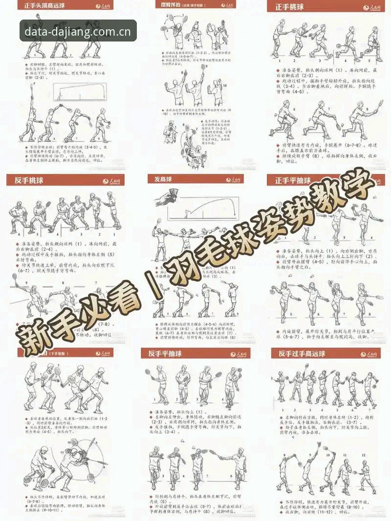 大江体育赛事推荐教程：从入门到精通的实用指南